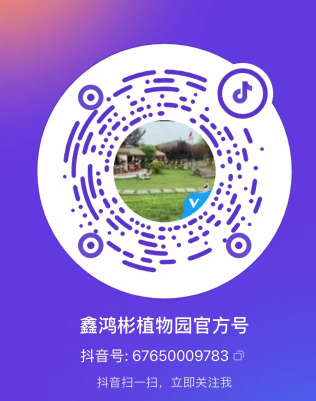 Scan QR code to follow on Douyin